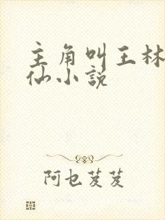 主角叫王林的修仙小说