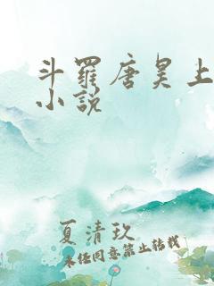 斗罗唐昊上唐三小说