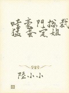 哇豪门总裁真凶猛 蛋定姐