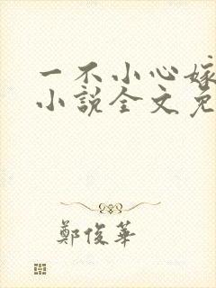 一不小心嫁总裁小说全文免费阅读