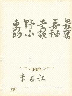 东野圭吾最好看的小说秘密