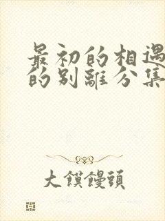 最初的相遇最后的别离分集剧情