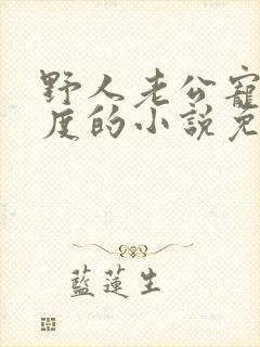 野人老公宠妻无度的小说免费阅读