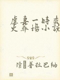 虐妻一时爽追妻火葬场小说