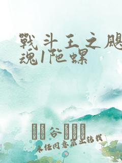 战斗王之飓风战魂1陀螺