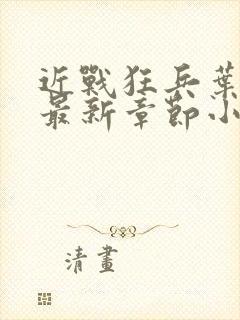 近战狂兵叶军浪最新章节小说