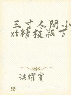 三寸人间小说txt精校版下载