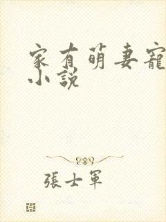 家有萌妻宠上天小说