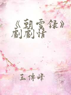 《朝雪录》电视剧剧情