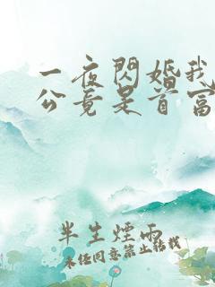 一夜闪婚我的老公竟是首富