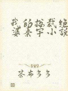 我的总裁绝色老婆秦宇小说免费阅读