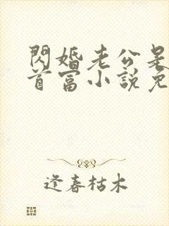 闪婚老公是千亿首富小说免费阅读