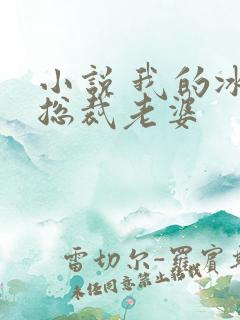 小说 我的冰山总裁老婆