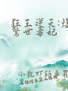 狂王逆天:爆宠惊世毒妃