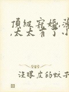 顶级宠婚,薄总,太太有了小说