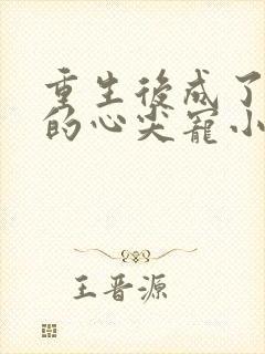 重生后成了前夫的心尖宠小说