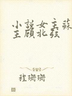 小说女主苏o男主顾北弦