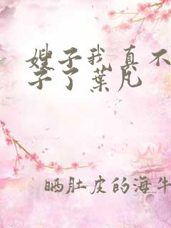 嫂子我真不是傻子了叶凡