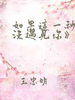 如果这一秒,我没遇见你》