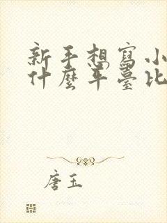 新手想写小说用什么平台比较合适