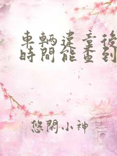 车辆违章后多长时间能查到