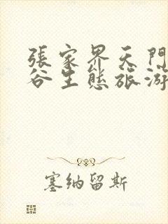 张家界天门山峡谷生态旅游景区