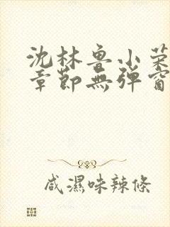 沈林鲁小荣最新章节无弹窗笔趣阁