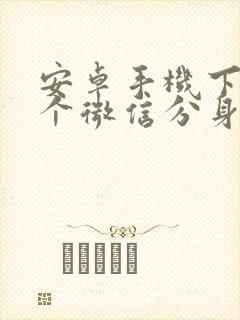 安卓手机下载哪个微信分身好用