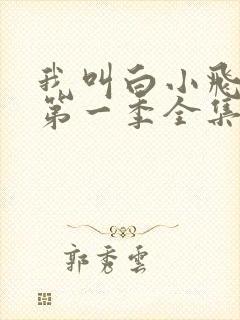 我叫白小飞动漫第一季全集免费观看