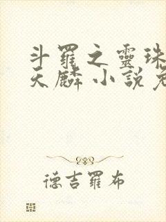 斗罗之灵珠神剑天麟 小说免费阅读