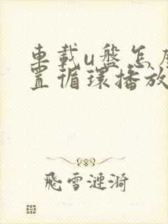 车载u盘怎么设置循环播放