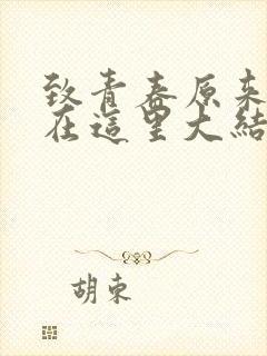 致青春原来你还在这里大结局