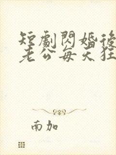 短剧闪婚后大叔老公每天狂宠我在线观看