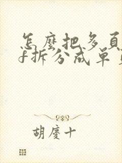 怎么把多页pdf拆分成单页pdf