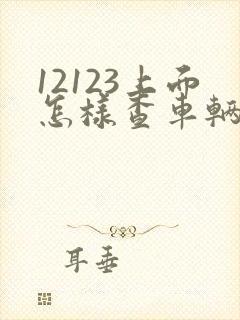 12123上面怎样查车辆违章