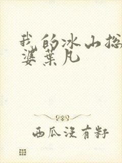 我的冰山总裁老婆叶凡