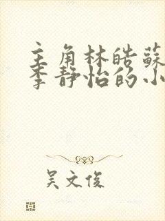 主角林皓苏沐云李静怡的小说