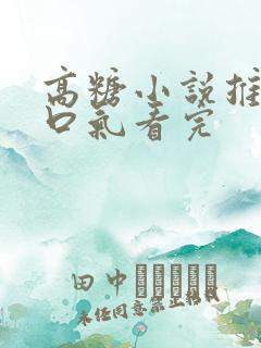 高糖小说推文一口气看完