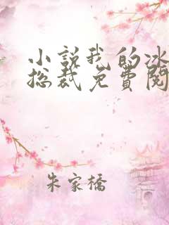 小说我的冰山女总裁免费阅读