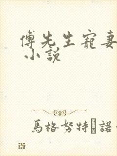 傅先生宠妻无度 小说