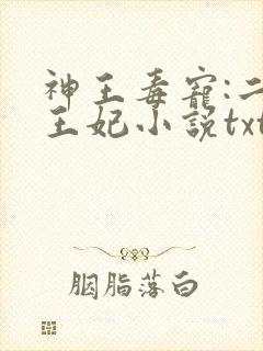 神王毒宠:二嫁王妃小说txt