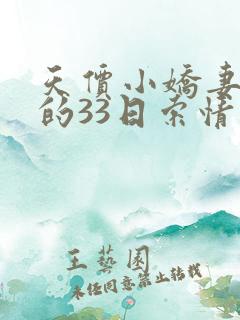 天价小娇妻总裁的33日索情免费阅读