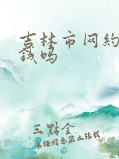 吉林市网约车挣钱吗