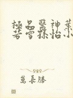 极品医神叶辰夏若雪孙怡小说