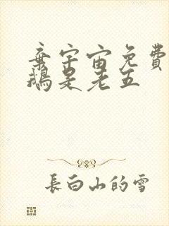 弃宇宙免费阅读鹅是老五