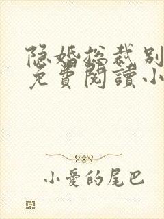 隐婚总裁别太坏免费阅读小说