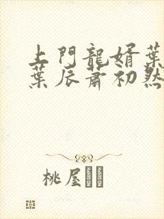 上门龙婿叶辰 叶辰萧初然结局