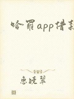 哈罗app借款