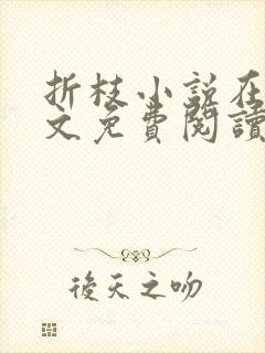 折枝小说在线全文免费阅读无弹窗