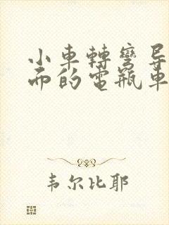 小车转弯导致后面的电瓶车摔倒有责任吗